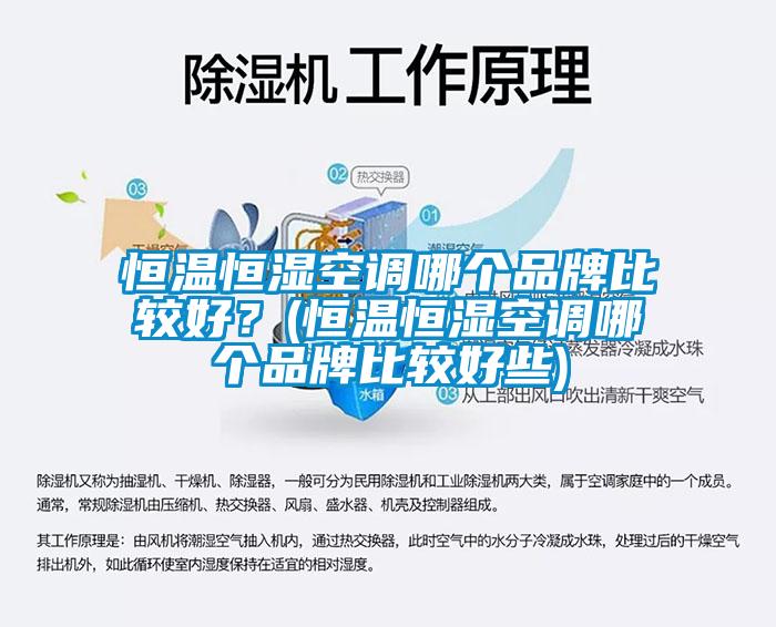 恒温恒湿空调哪个品牌比较好？(恒温恒湿空调哪个品牌比较好些)