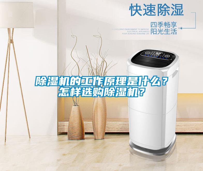 除湿机的工作原理是什么？怎样选购除湿机？