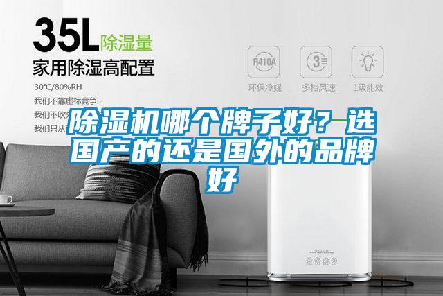 除湿机哪个牌子好？选国产的还是国外的品牌好