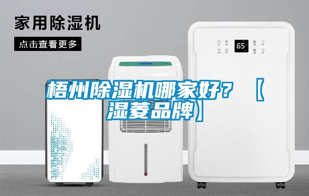 梧州除湿机哪家好？【湿菱品牌】