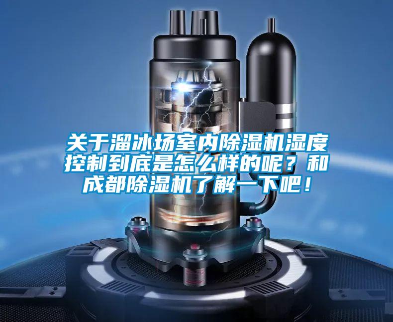 关于溜冰场室内除湿机湿度控制到底是怎么样的呢？和成都除湿机了解一下吧！