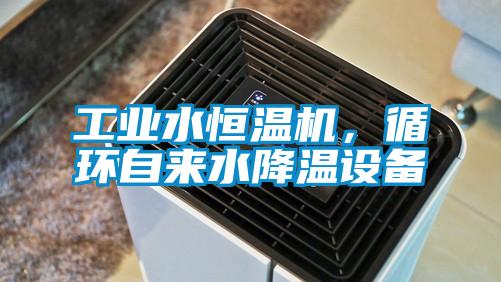工业水恒温机，循环自来水降温设备