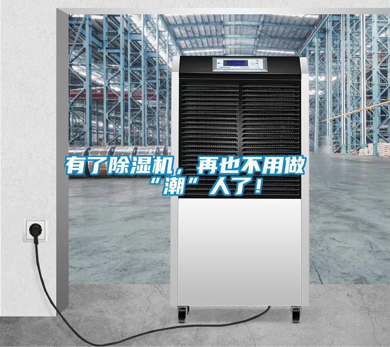 有了除湿机，再也不用做“潮”人了！