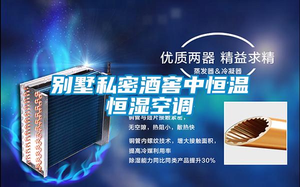 别墅私密酒窖中恒温恒湿空调