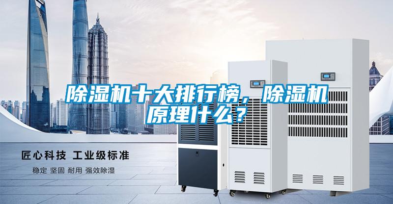 除湿机十大排行榜，除湿机原理什么？