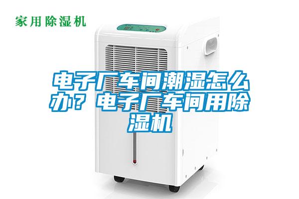 电子厂车间潮湿怎么办？电子厂车间用除湿机