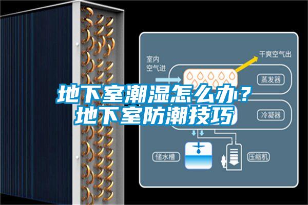 地下室潮湿怎么办？地下室防潮技巧