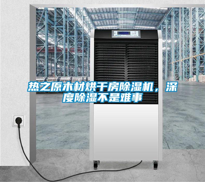 热之原木材烘干房除湿机，深度除湿不是难事