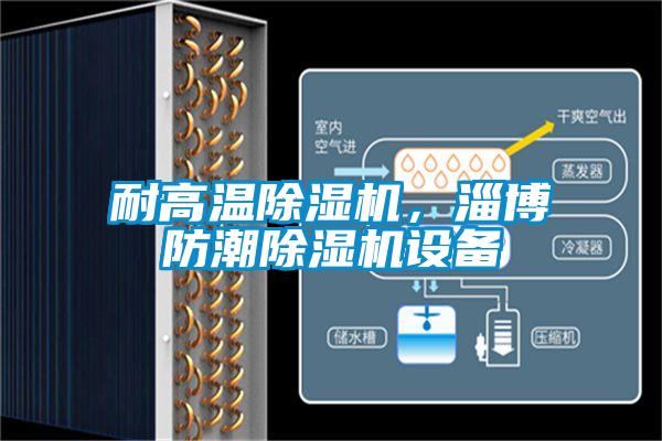 耐高溫除濕機，淄博防潮除濕機設(shè)備