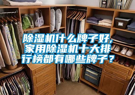 除湿机什么牌子好,家用除湿机十大排行榜都有哪些牌子？