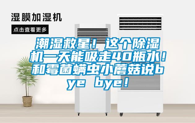 潮湿救星！这个除湿机一天能吸走40瓶水！和霉菌螨虫小蘑菇说bye bye！