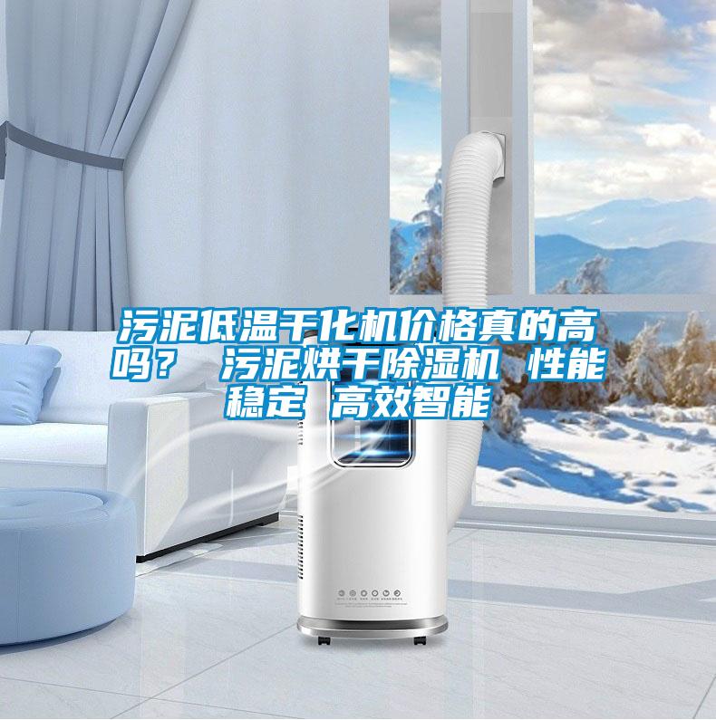 污泥低温干化机价格真的高吗？ 污泥烘干除湿机 性能稳定 高效智能