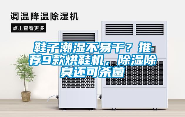鞋子潮濕不易干？推薦9款烘鞋機(jī)，除濕除臭還可殺菌