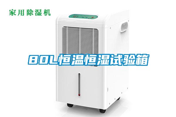 80L恒温恒湿试验箱