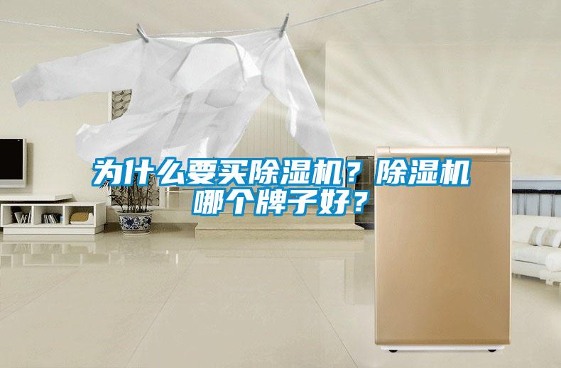 为什么要买除湿机？除湿机哪个牌子好？