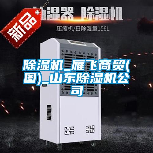 除湿机_雁飞商贸(图)_山东除湿机公司