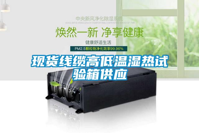 现货线缆高低温湿热试验箱供应