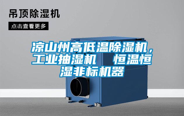涼山州高低溫除濕機(jī)，工業(yè)抽濕機(jī)  恒溫恒濕非標(biāo)機(jī)器