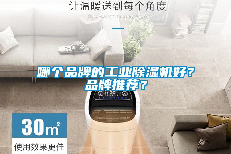 哪个品牌的工业除湿机好？品牌推荐？