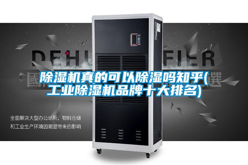 除湿机真的可以除湿吗知乎(工业除湿机品牌十大排名)