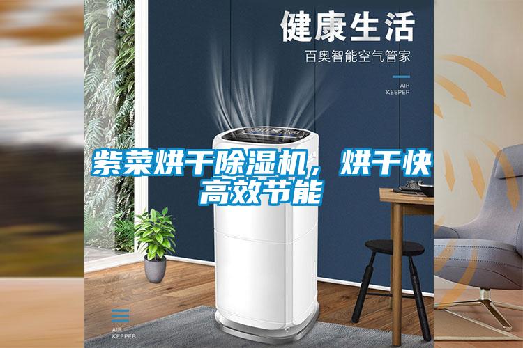 紫菜烘干除湿机，烘干快高效节能