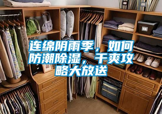 连绵阴雨季，如何防潮除湿，干爽攻略大放送