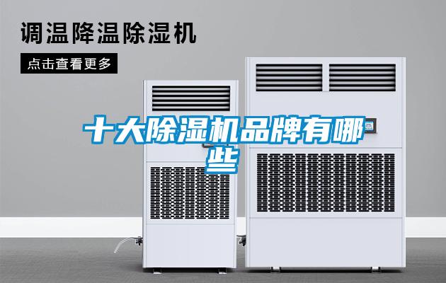十大除湿机品牌有哪些