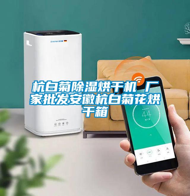 杭白菊除湿烘干机 厂家批发安徽杭白菊花烘干箱