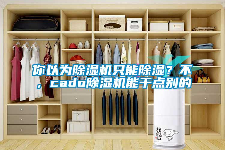 你以为除湿机只能除湿？不，cado除湿机能干点别的