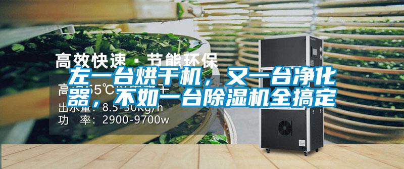 左一台烘干机，又一台净化器，不如一台除湿机全搞定