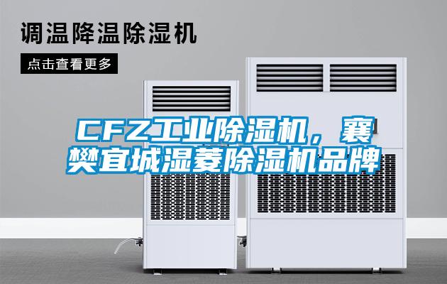 CFZ工业除湿机，襄樊宜城湿菱除湿机品牌