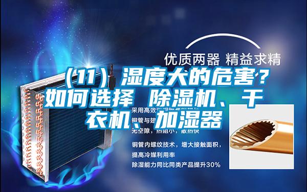 （11）湿度大的危害？如何选择 除湿机、干衣机、加湿器