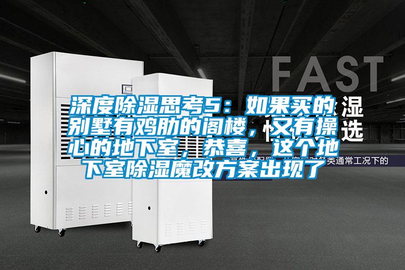 深度除濕思考5：如果買的別墅有雞肋的閣樓，又有操心的地下室，恭喜，這個(gè)地下室除濕魔改方案出現(xiàn)了