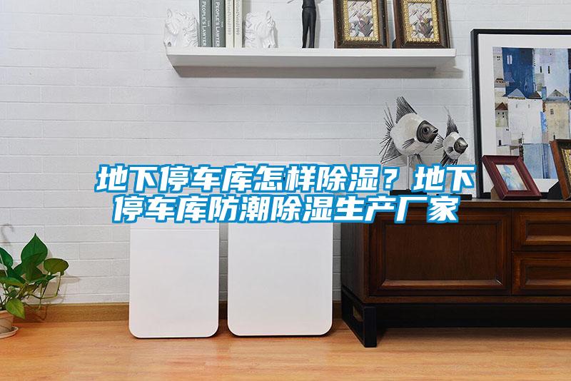 地下停车库怎样除湿？地下停车库防潮除湿生产厂家