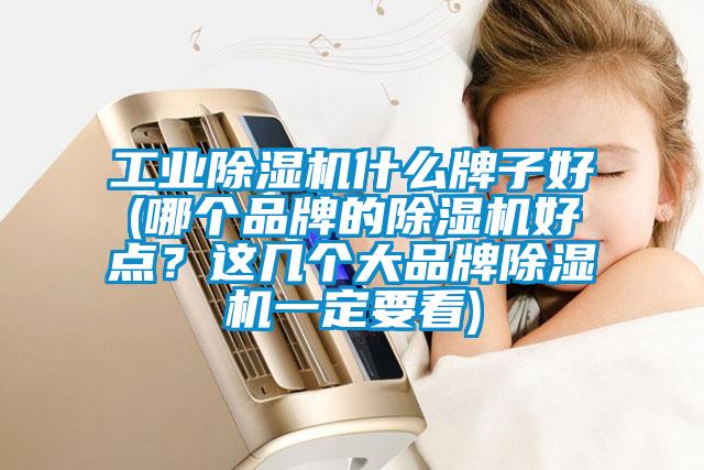 工业除湿机什么牌子好(哪个品牌的除湿机好点？这几个大品牌除湿机一定要看)