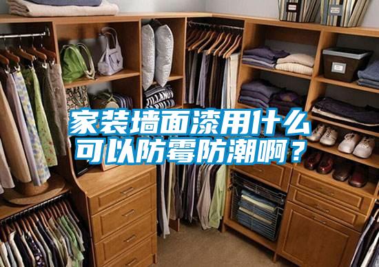 家装墙面漆用什么可以防霉防潮??？
