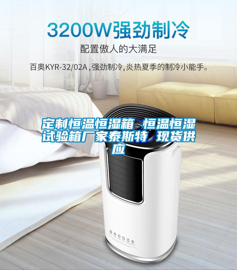 定制恒温恒湿箱 恒温恒湿试验箱厂家泰斯特 现货供应