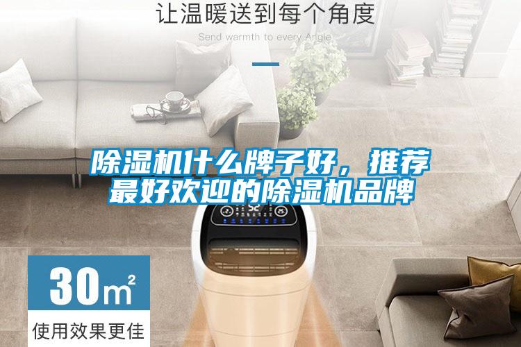 除湿机什么牌子好，推荐最好欢迎的除湿机品牌