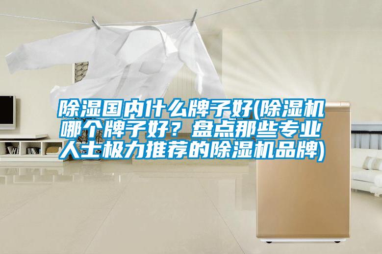 除湿国内什么牌子好(除湿机哪个牌子好？盘点那些专业人士极力推荐的除湿机品牌)