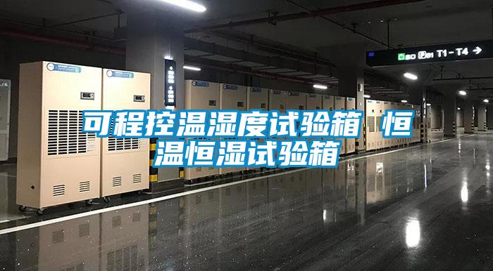 可程控温湿度试验箱 恒温恒湿试验箱