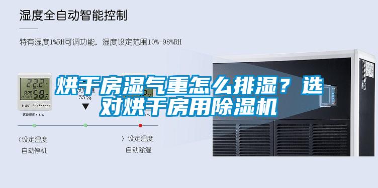 烘干房湿气重怎么排湿？选对烘干房用除湿机