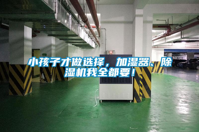 小孩子才做选择，加湿器、除湿机我全都要！