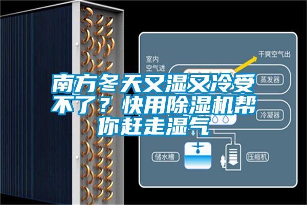 南方冬天又湿又冷受不了？快用除湿机帮你赶走湿气
