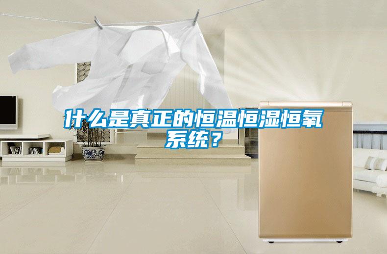 什么是真正的恒温恒湿恒氧系统？