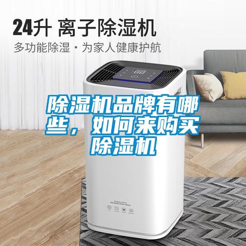 除湿机品牌有哪些，如何来购买除湿机