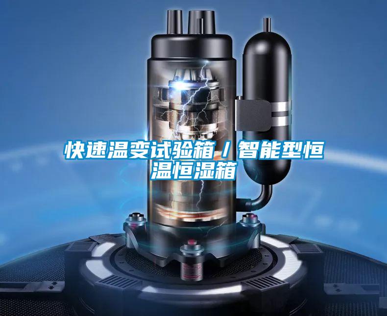 快速温变试验箱／智能型恒温恒湿箱