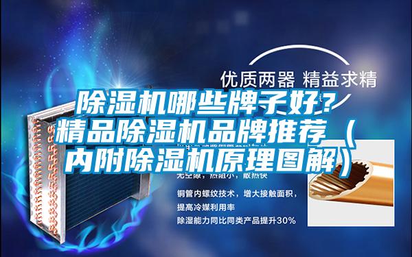 除湿机哪些牌子好？精品除湿机品牌推荐（内附除湿机原理图解）