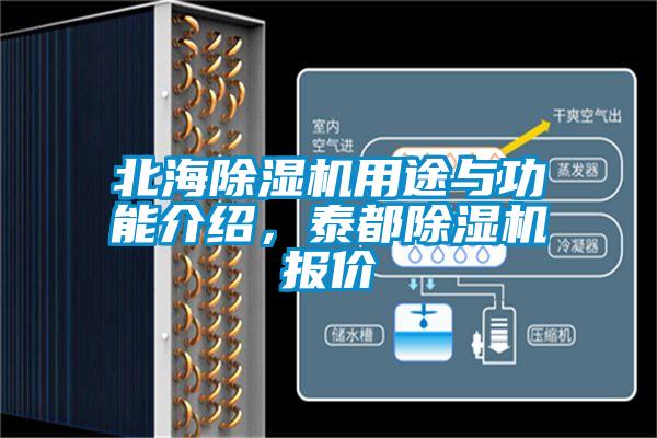 北海除湿机用途与功能介绍，泰都除湿机报价