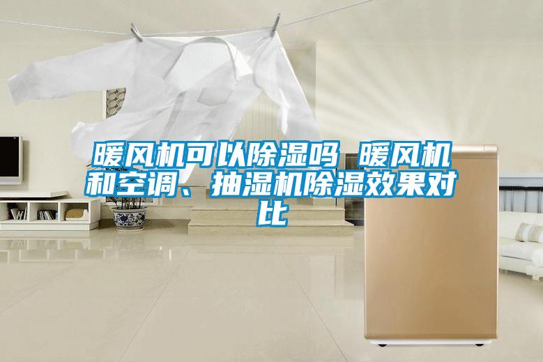 暖风机可以除湿吗 暖风机和空调、抽湿机除湿效果对比