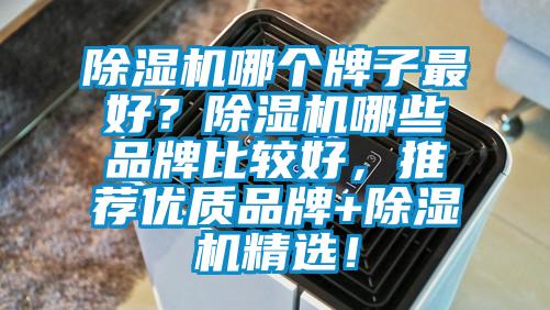 除湿机哪个牌子最好？除湿机哪些品牌比较好，推荐优质品牌+除湿机精??！